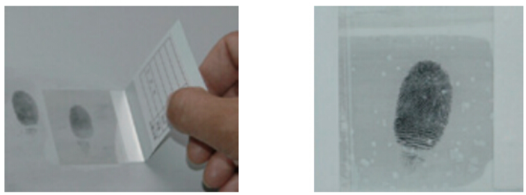 白色衬底指纹提取胶片