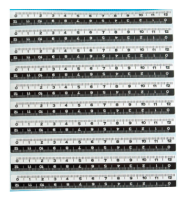 黑白不干胶比例尺