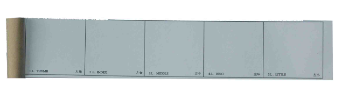 右手指纹捺印卡片