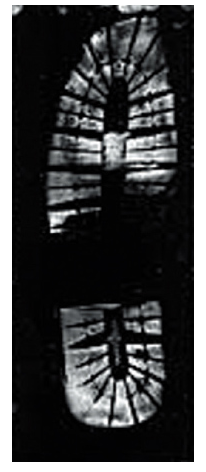 黑色塑胶足迹提取片