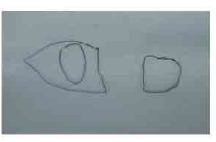 足迹检验用透明塑料片