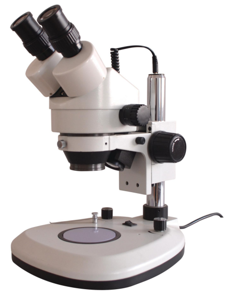 双目体式显微镜